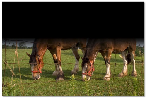 Photo Editing Techniques