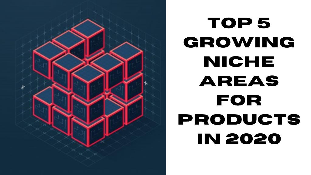 Top 5 growing niche areas for products in 2020