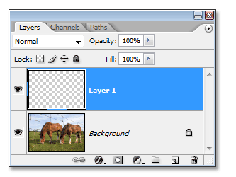 Photo Editing Techniques