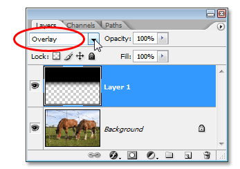Photo Editing Techniques