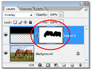 Photo Editing Techniques